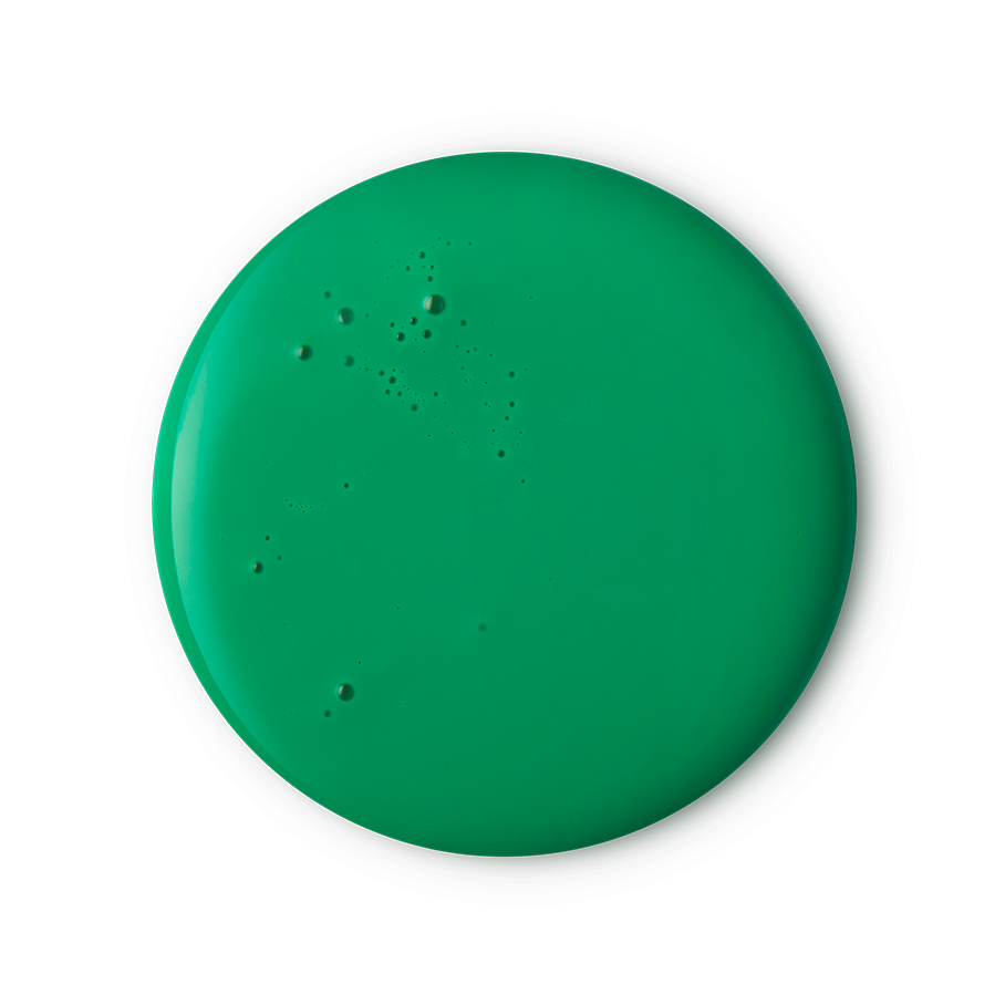 Lord Of Misrule